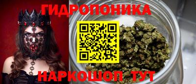дмт Бузулук