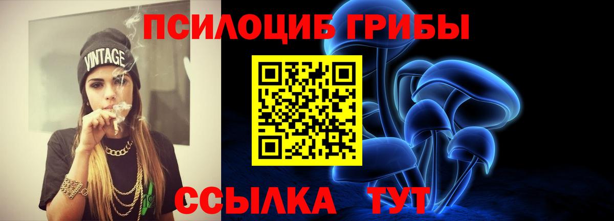 Галлюциногенные грибы Psilocybe Электросталь